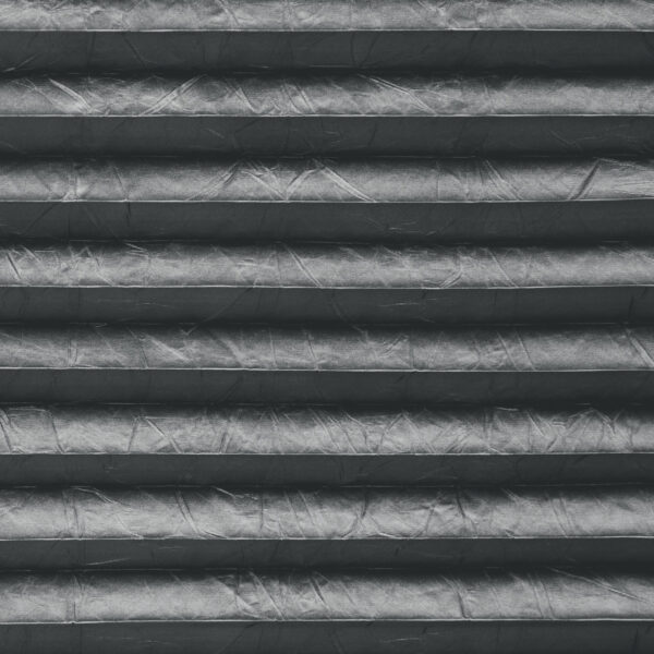 Plisētas žalūzijas Loxton Charcoal