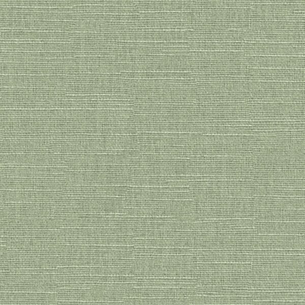 Hayworth Fern - Image 2